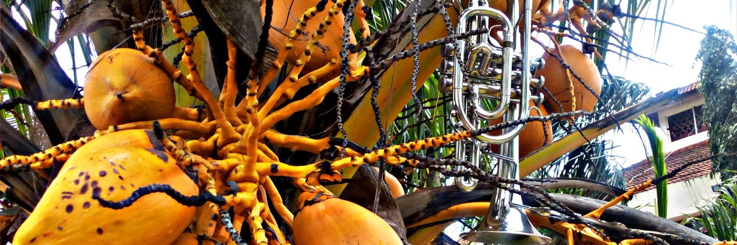 Clêôh Lôvêchîld banner