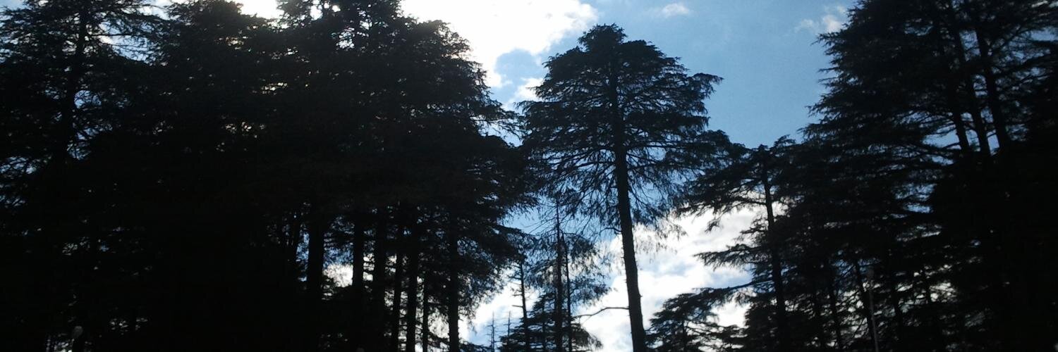 akashdeep_21's profile banner image