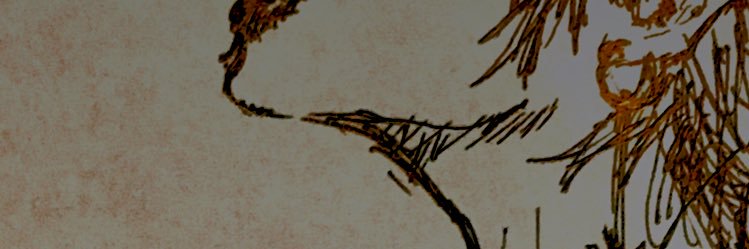 1031_kyosuke's profile banner image
