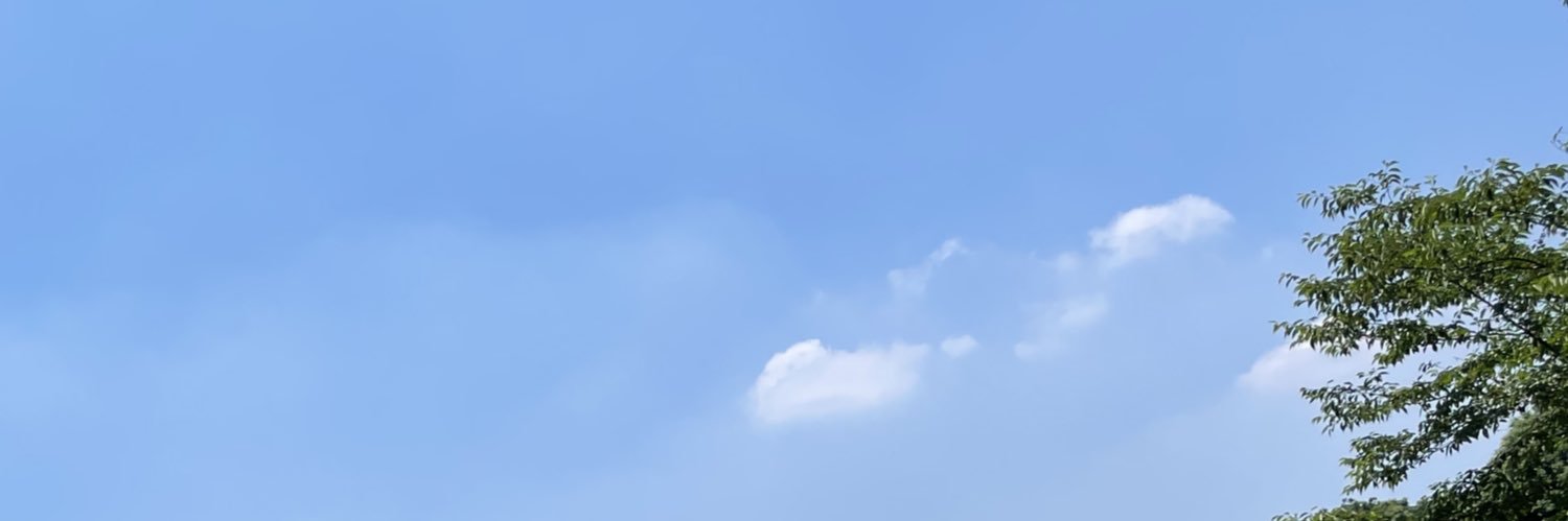 cdg_Risa's profile banner image