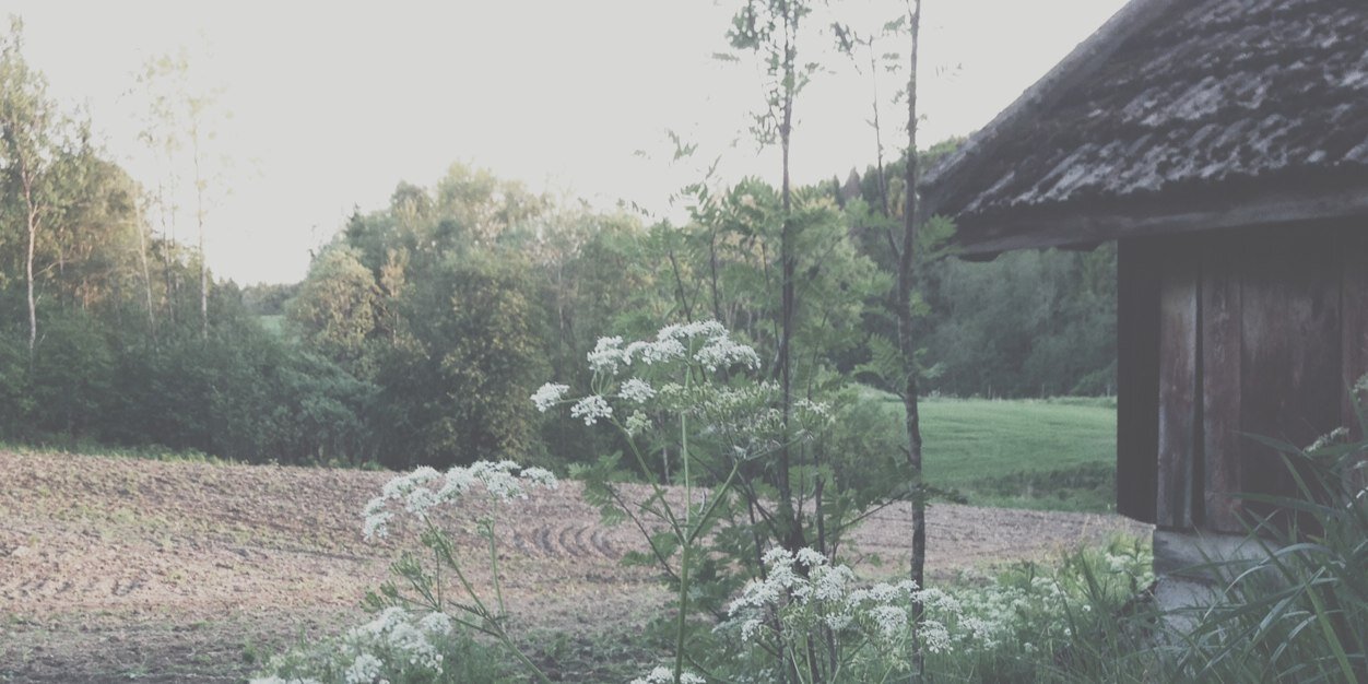asbie's profile banner image
