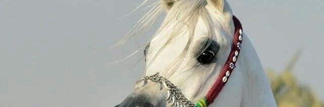 omar108059's profile banner image