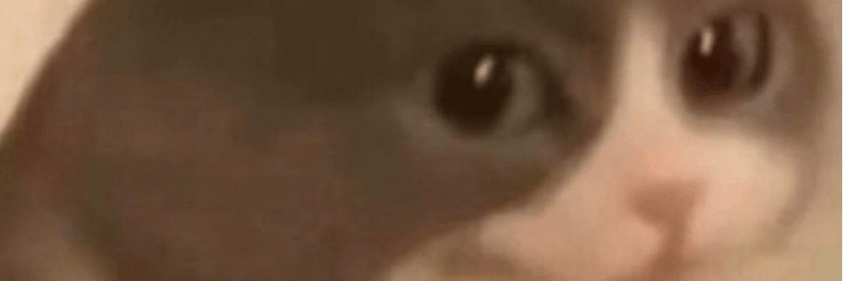 Kitty banner