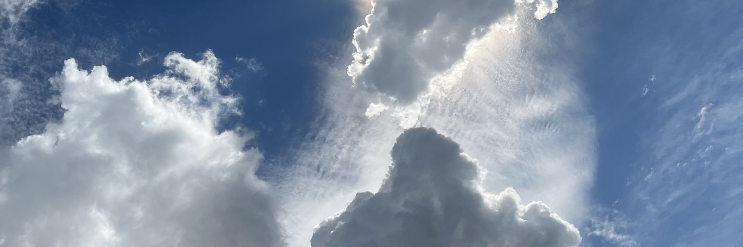 HercheLisa's profile banner image