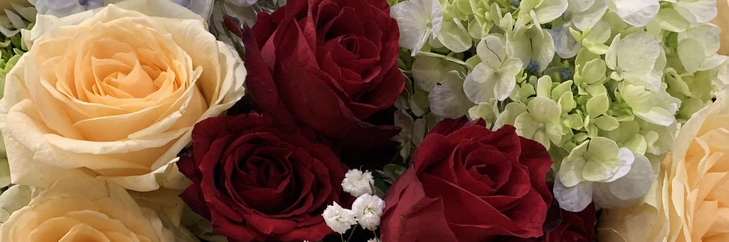 Rootrellashop2's profile banner image