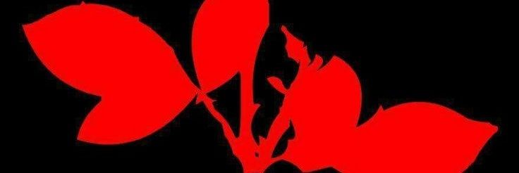 FabDM75's profile banner image