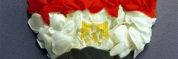 hf64h444's profile banner image