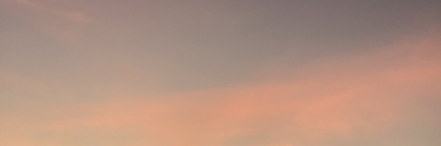 B_BoomBloom's profile banner image