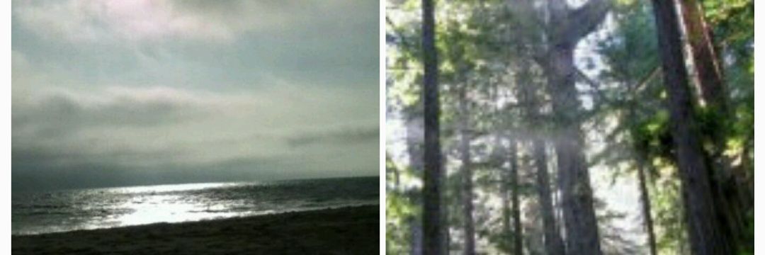 Sabrina Hogan banner