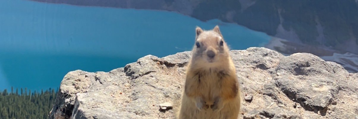 tishmurray_'s profile banner image