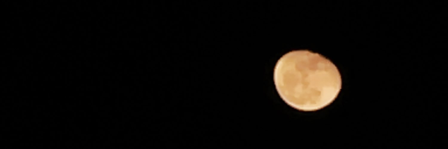 fjnaqiuddin's profile banner image