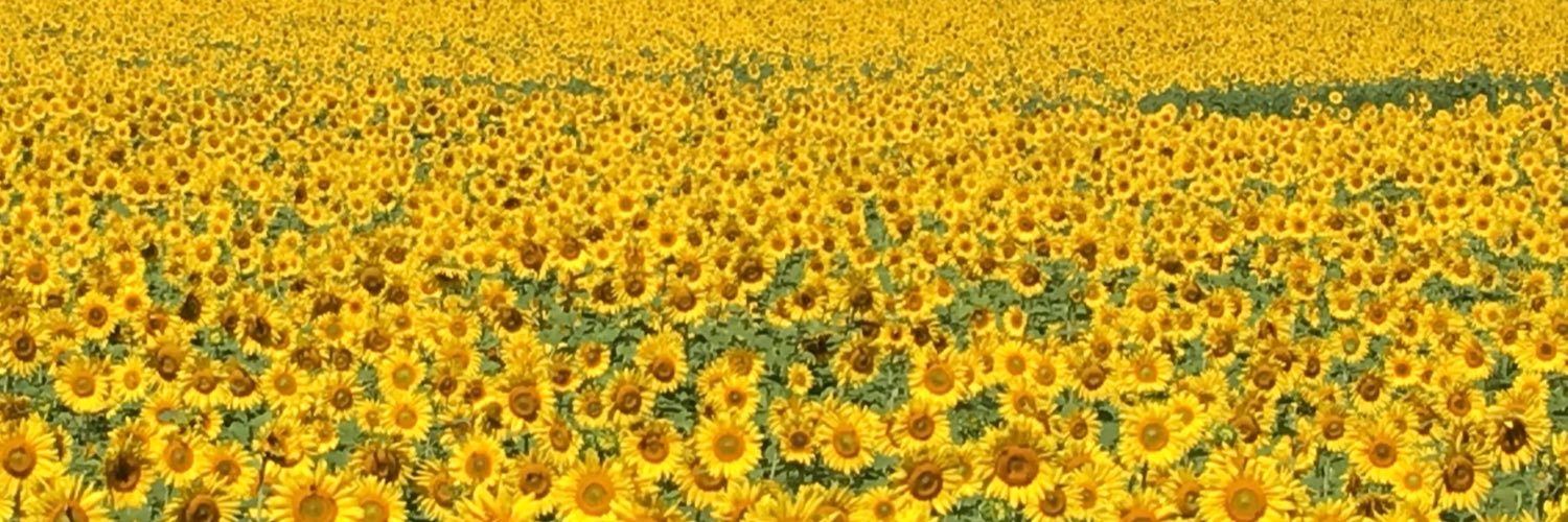 KristiHalford's profile banner image