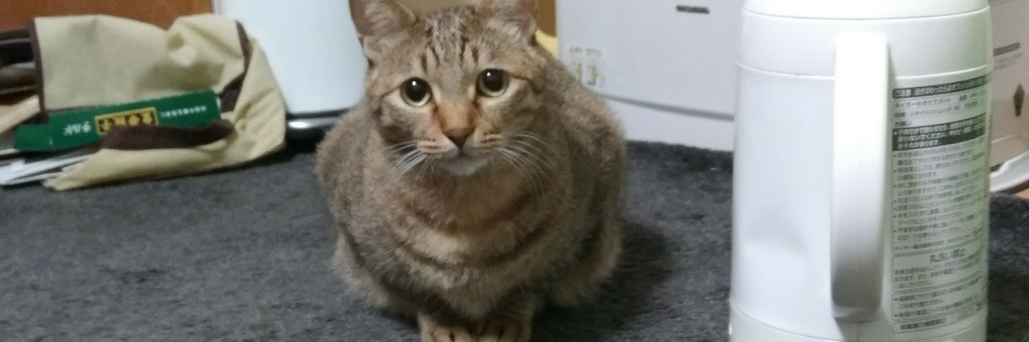 the_ele_cat's profile banner image