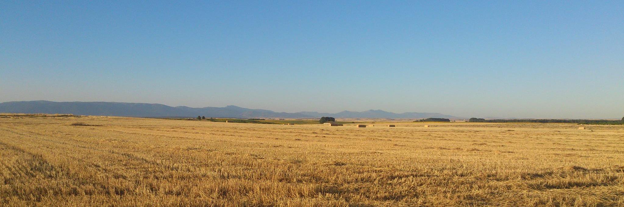 Alberto Sacristán banner