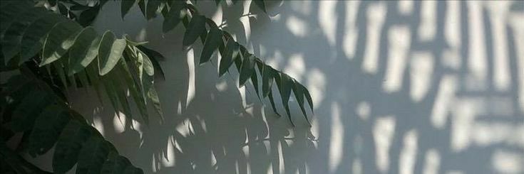 larasprmta's profile banner image