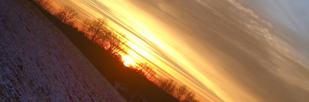 EwartLexi's profile banner image