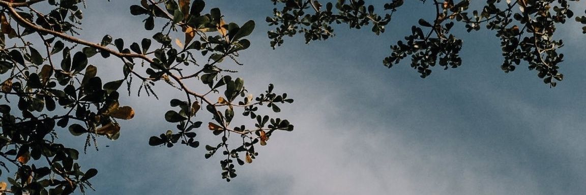 dalahdalahah's profile banner image