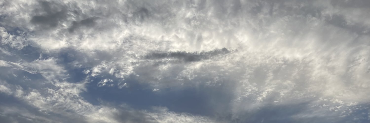 Nepturis's profile banner image