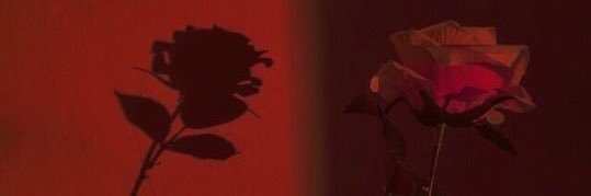 mchitxwdy's profile banner image