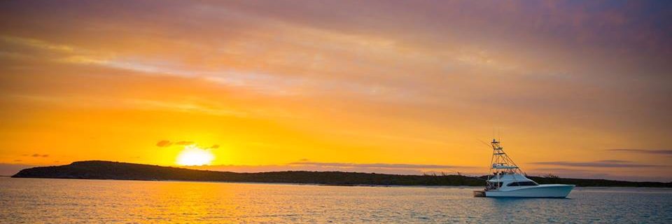 marlinhunter36's profile banner image