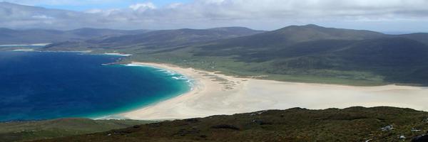 ekgreenman Profile Banner