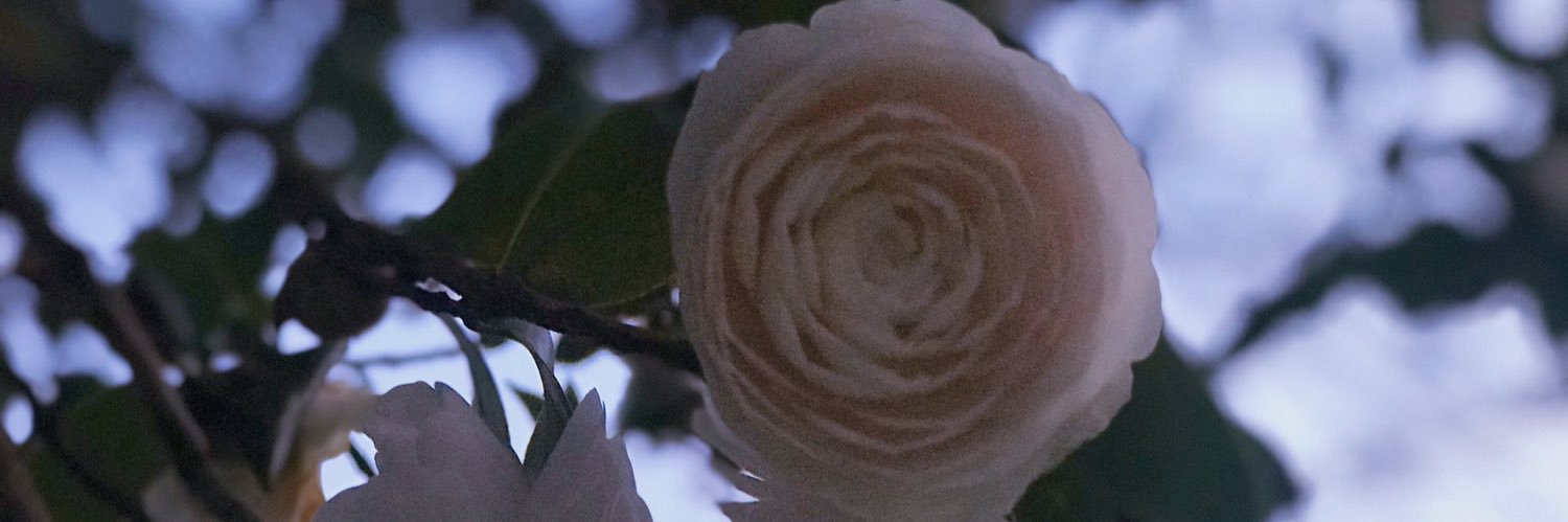 nosarink's profile banner image