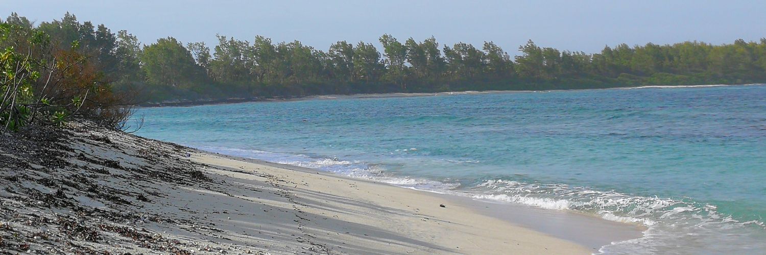 LLauzi's profile banner image