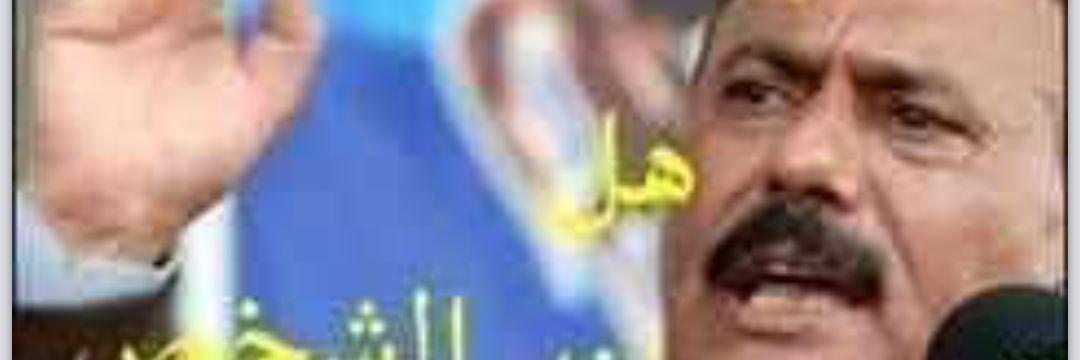 maznaei's profile banner image