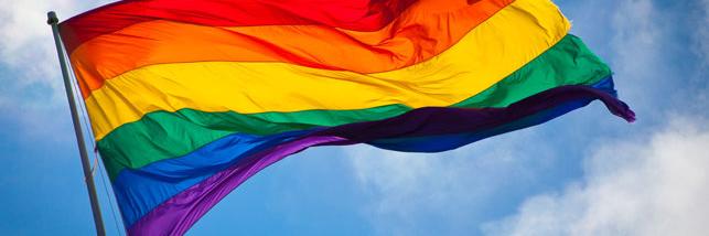 LGBTQIAPoC's profile banner image