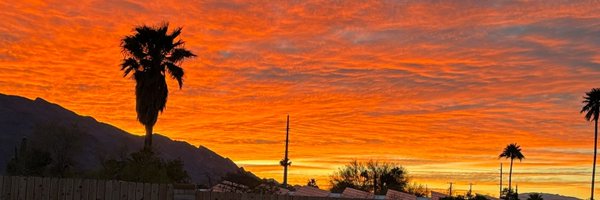 cybercat919 Profile Banner