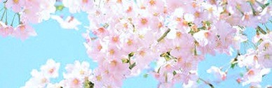 LauxJennifer's profile banner image