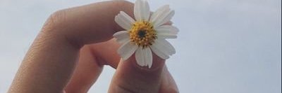 luisafernand278's profile banner image