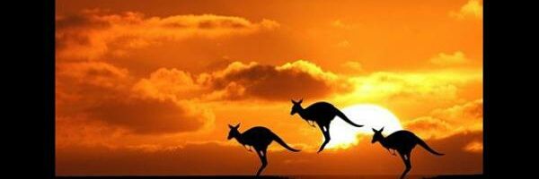 LovableSingh's profile banner image