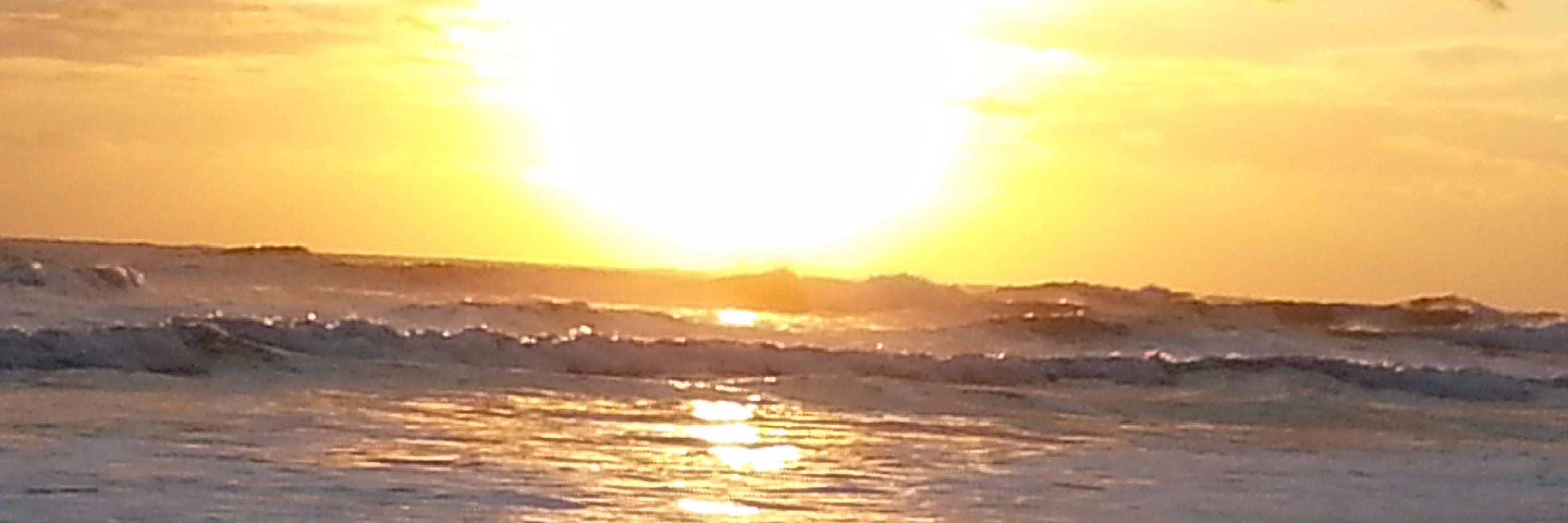 windiewx's profile banner image