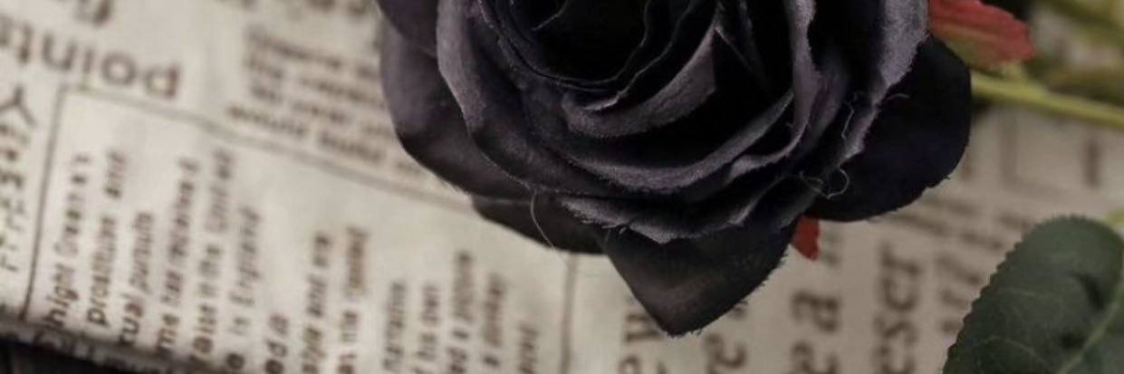 naaef065's profile banner image
