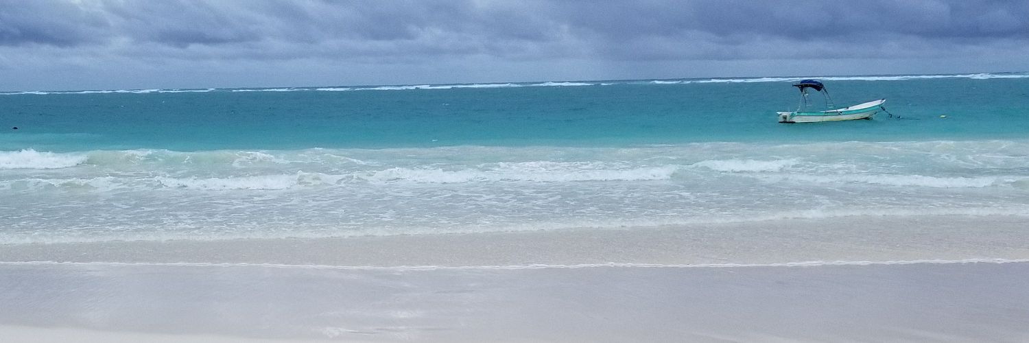 Amanda Sanchez banner