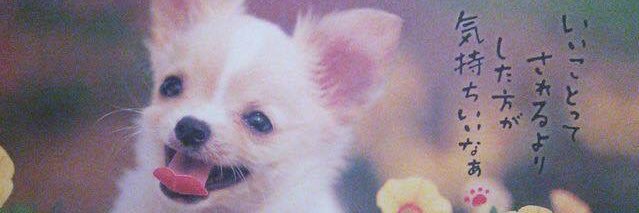 ともにゃん banner