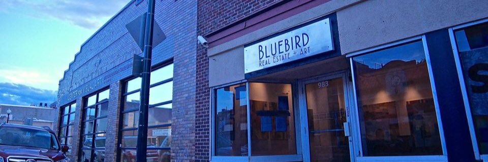 Denver_Bluebird's profile banner image