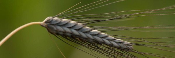 ATGFarms Profile Banner