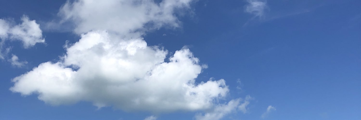 rojitachetu's profile banner image