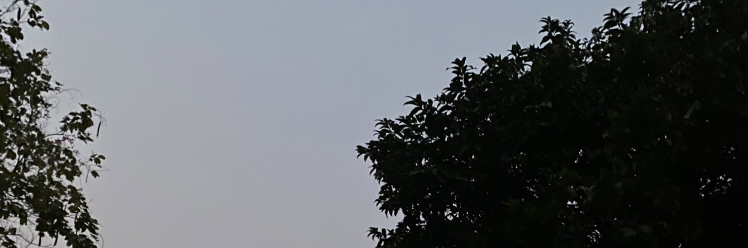 mintmintjrn's profile banner image