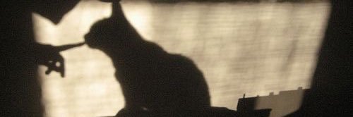 Mヾ banner