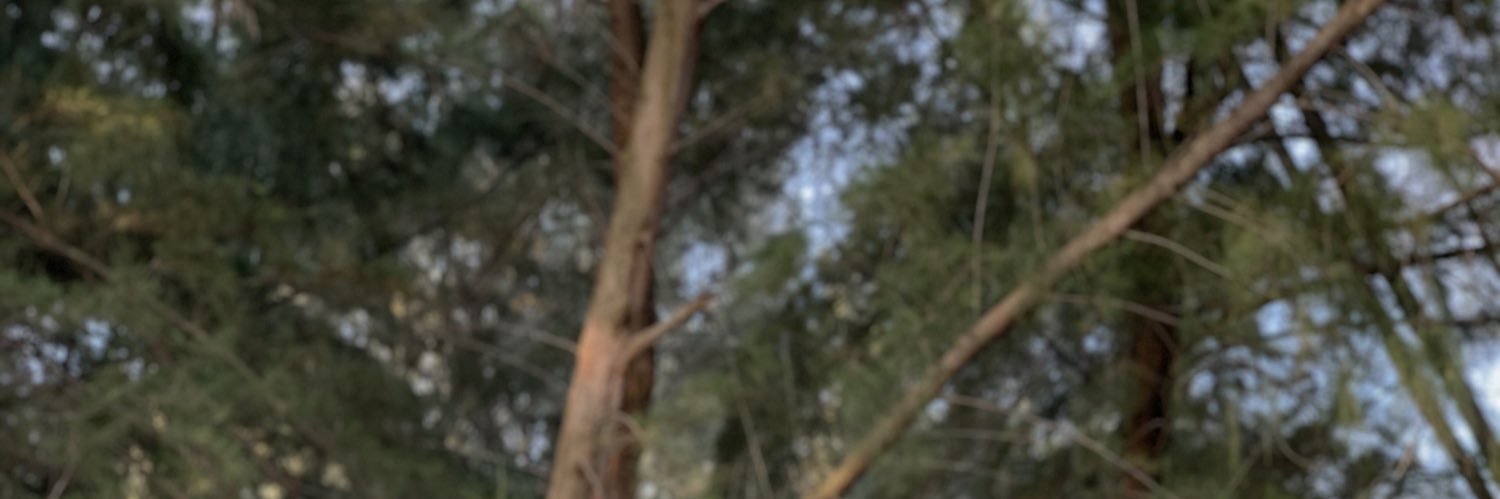 afiqmarul's profile banner image