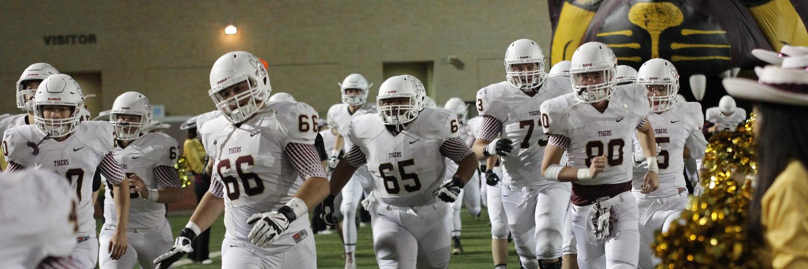DS Tiger Football  banner