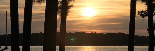 marshamose Profile Banner