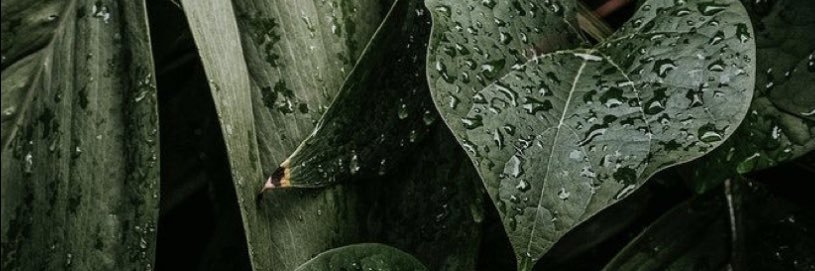 killuminatixo's profile banner image