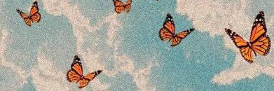 astrid_pef's profile banner image