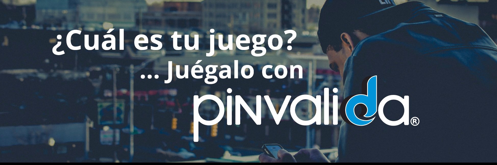 Pinvalidda's profile banner image