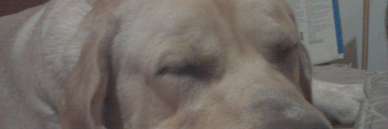 DSVEGA79's profile banner image
