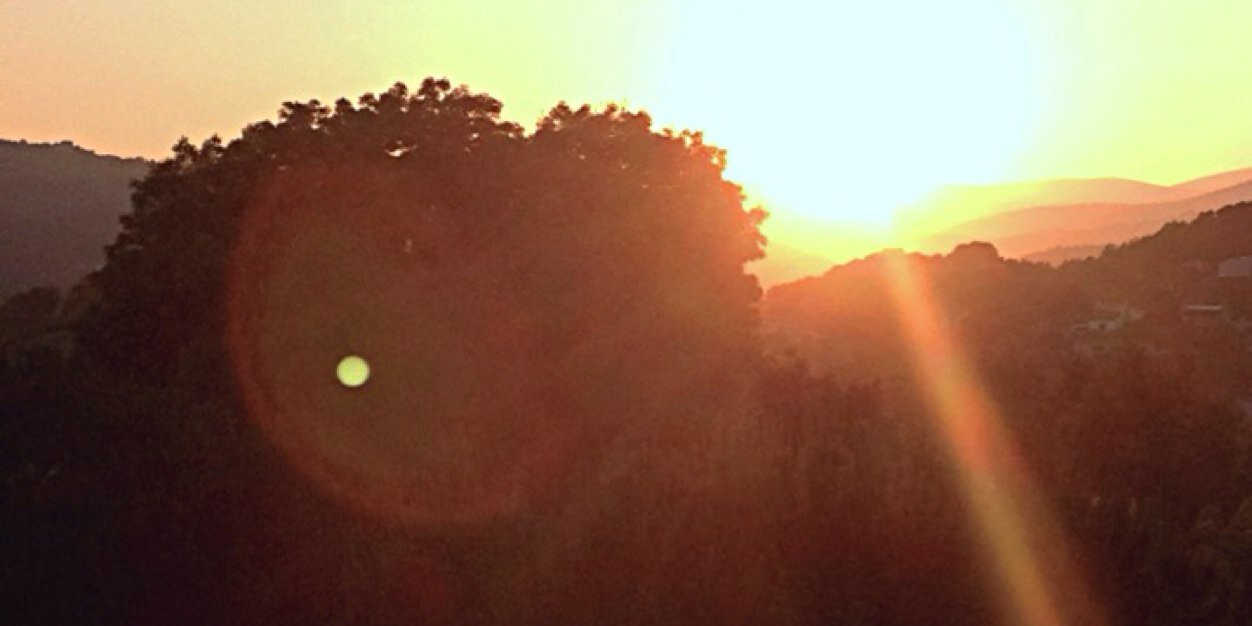 Lusterse_'s profile banner image